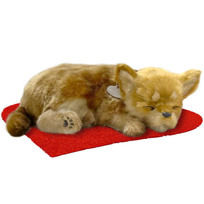 Original Chihuahua Perfect Petzzzz - image 5