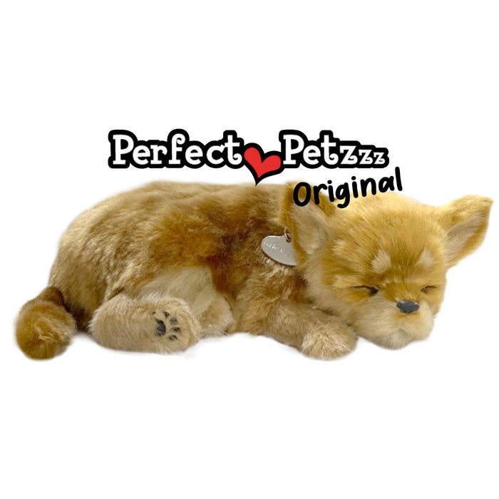 Original Chihuahua Perfect Petzzzz - image 6