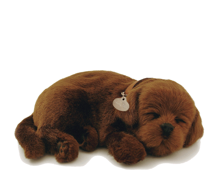 Original Chocolate Lab Perfect Petzzz - image 2