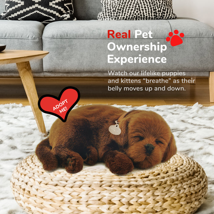 Original Chocolate Lab Perfect Petzzz - image 5