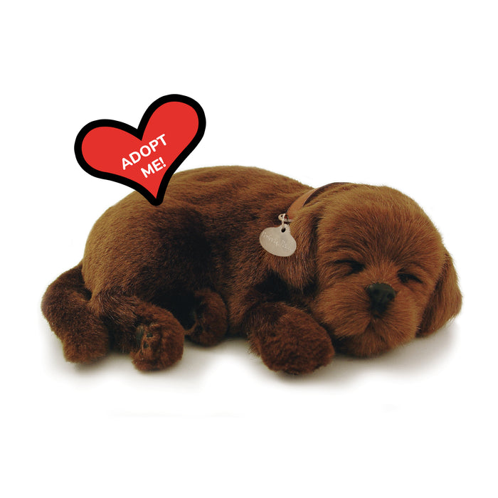 Original Chocolate Lab Perfect Petzzz - image 8
