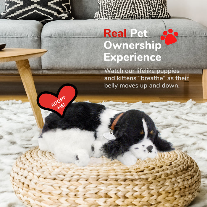Original Cocker Spaniel Perfect Petzzz - image 5
