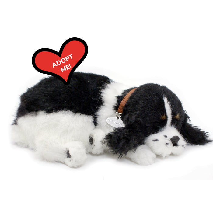 Original Cocker Spaniel Perfect Petzzz - image 8