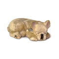 Original French Bulldog Perfect Petzzzz - image 2