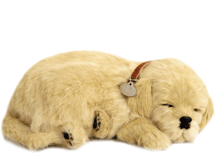 Original Golden Retriever Perfect Petzzz - image 2