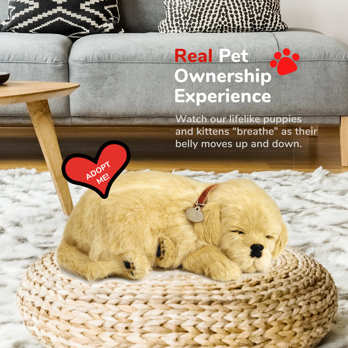 Original Golden Retriever Perfect Petzzz - image 5