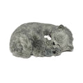 Original Gray Shorthair Cat Perfect Petzzzz - image 2
