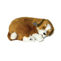 Original Mutt Perfect Petzzzz - image 2