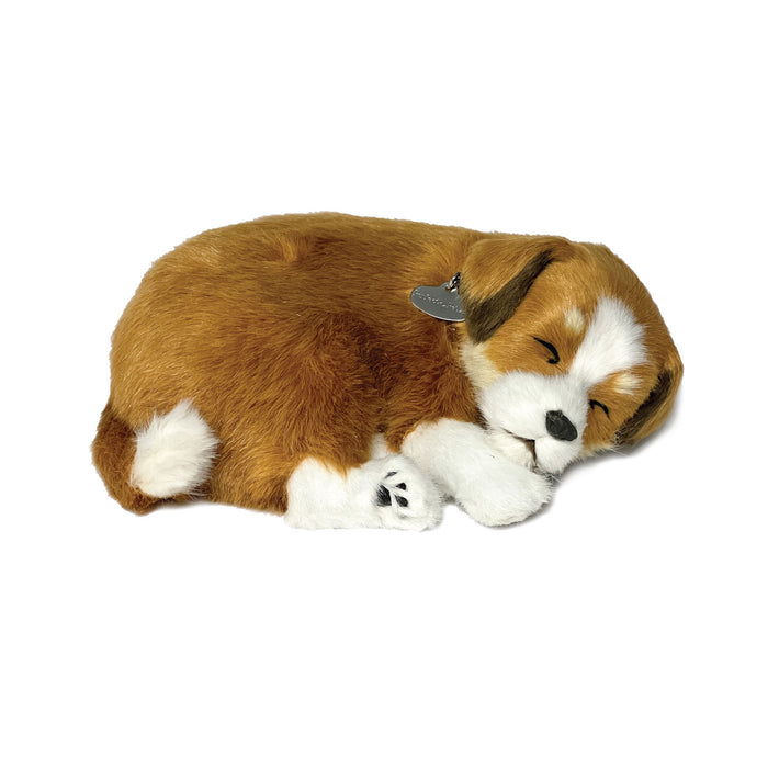 Original Mutt Perfect Petzzzz - image 2
