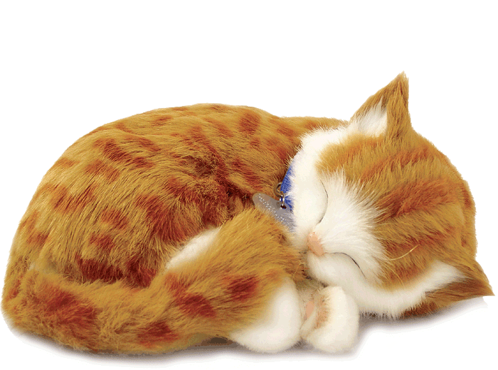 Original Orange Tabby Kitten Perfect Petzzz - image 2