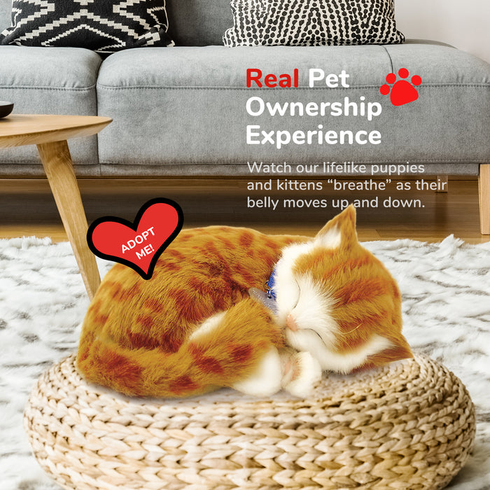 Original Orange Tabby Kitten Perfect Petzzz - image 5