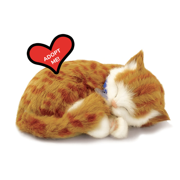 Original Orange Tabby Kitten Perfect Petzzz - image 8