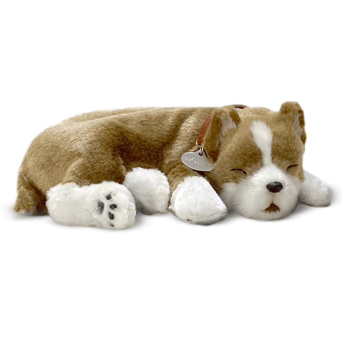 Original Pitbull Perfect Petzzzz - image 2