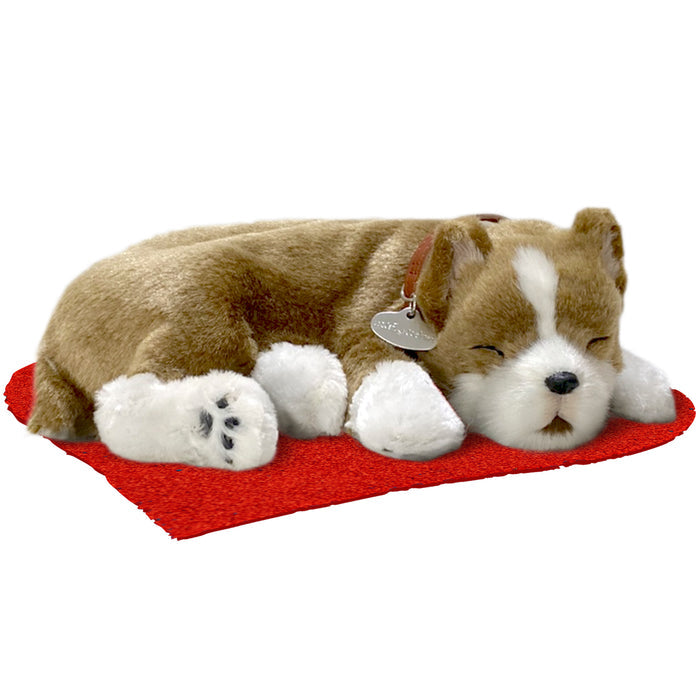 Original Pitbull Perfect Petzzzz - image 6