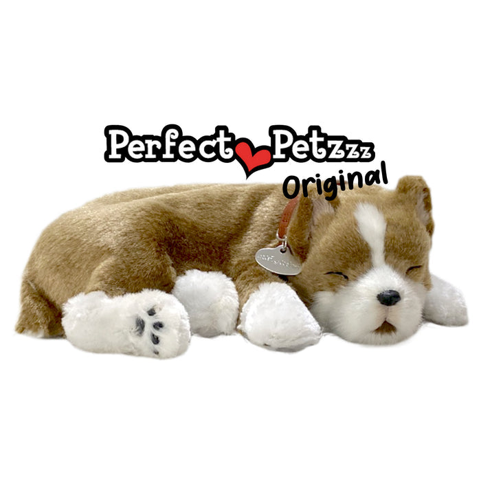 Original Pitbull Perfect Petzzzz - image 7