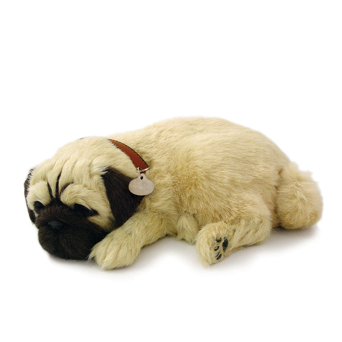 Original Pug Perfect Petzzz