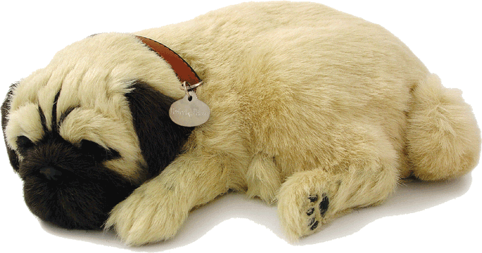 Original Pug Perfect Petzzz - image 2