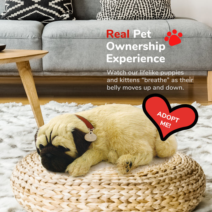 Original Pug Perfect Petzzz - image 5