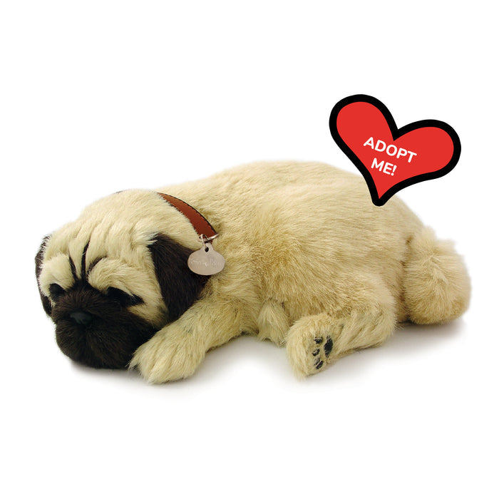 Original Pug Perfect Petzzz - image 8
