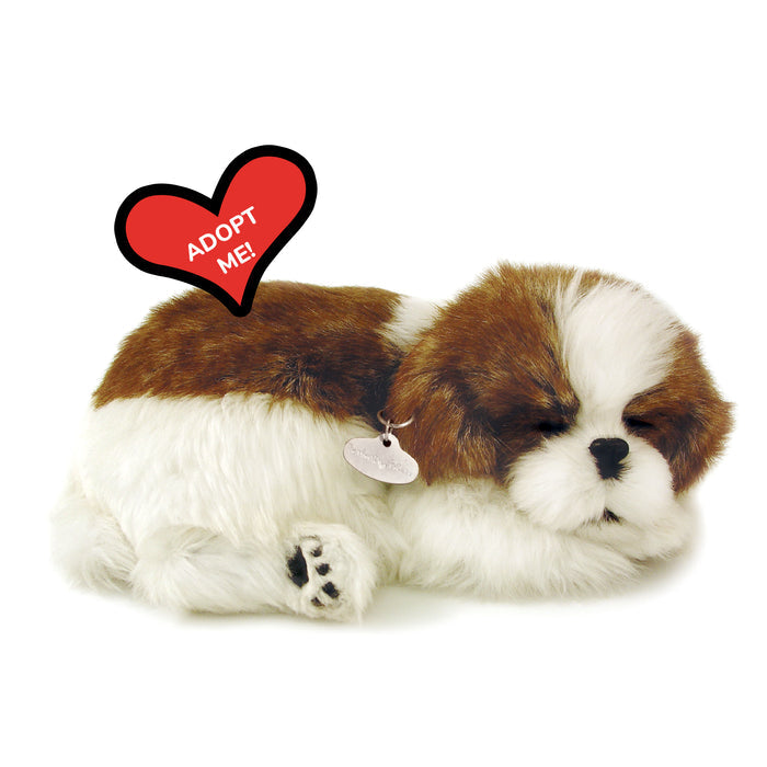 Original Shih Tzu Perfect Petzzz - image 8