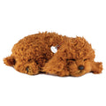 Original Toy Poodle Perfect Petzzz