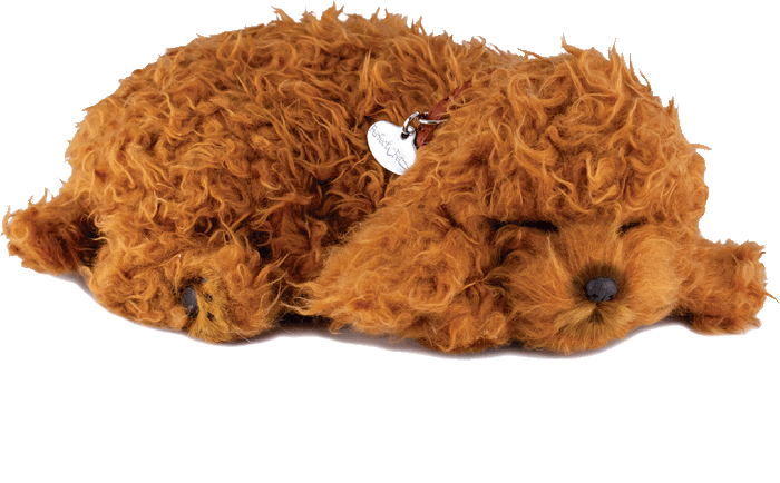 Original Toy Poodle Perfect Petzzz - image 2