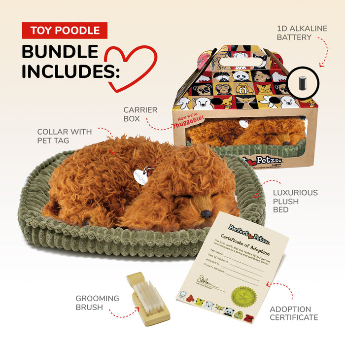 Original Toy Poodle Perfect Petzzz - image 3