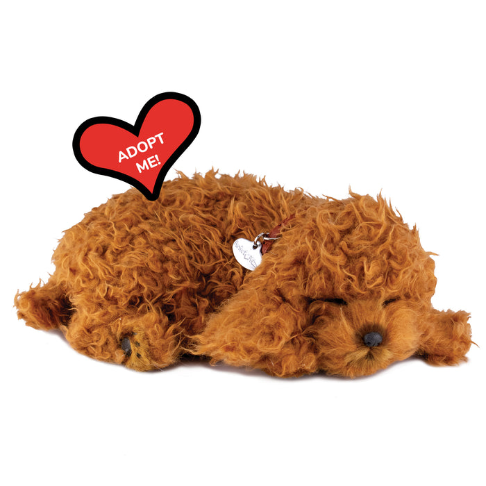 Original Toy Poodle Perfect Petzzz - image 8