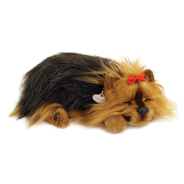 Original Yorkie Perfect Petzzz