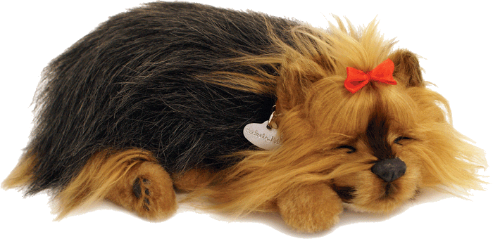 Original Yorkie Perfect Petzzz - image 2