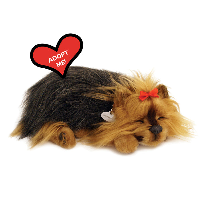 Original Yorkie Perfect Petzzz - image 8