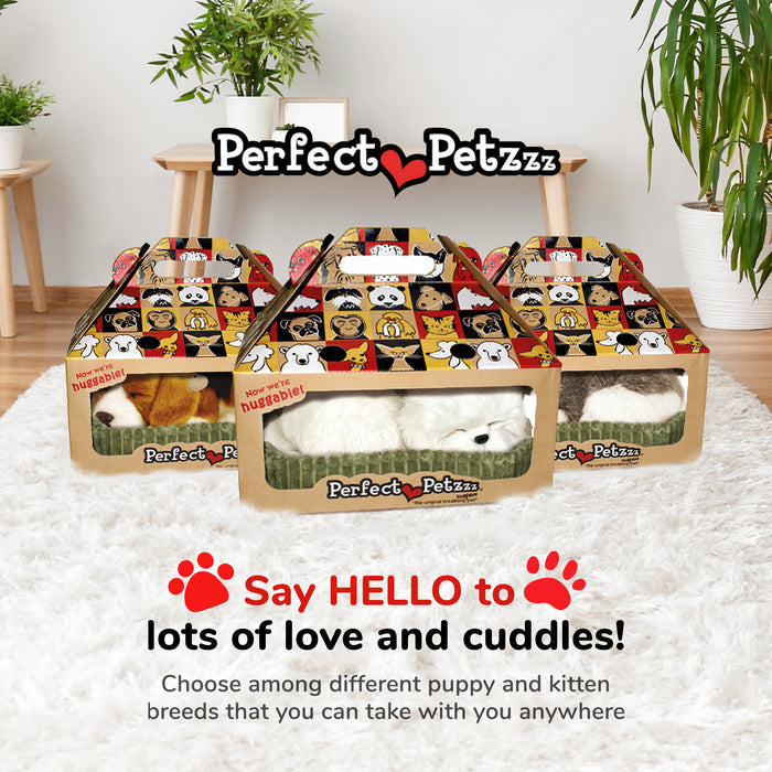 Perfect Petzzz Maltese - image 8