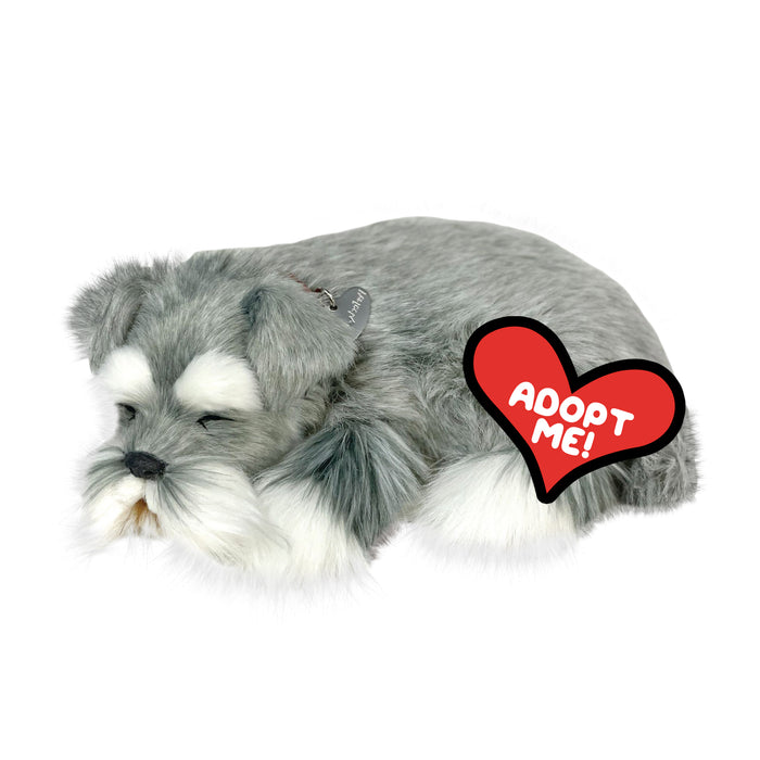 Perfect Petzzz Schnauzer - image 4