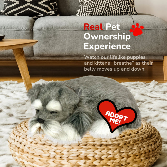 Perfect Petzzz Schnauzer - image 7