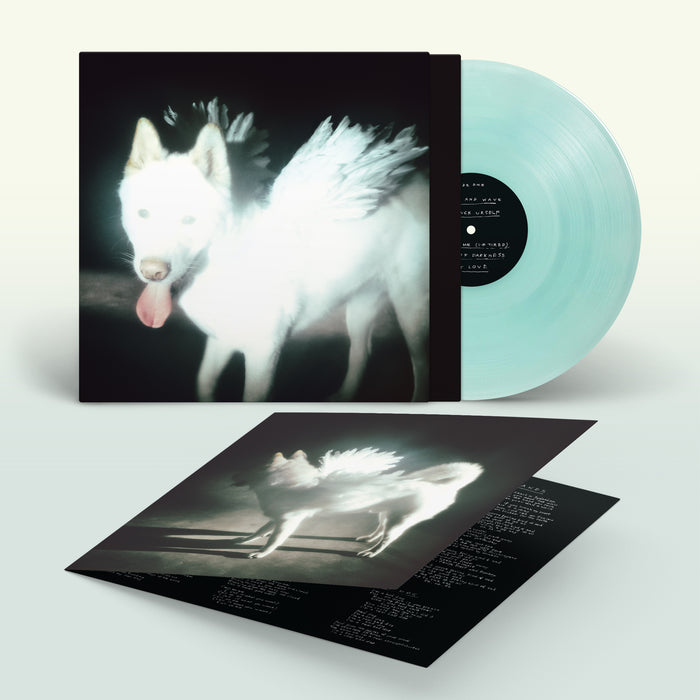 Pre-Order: Fat Dog - Cancel Me (I'm Tired)