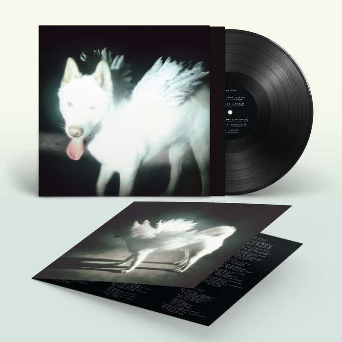 Pre-Order: Fat Dog - Cancel Me (I'm Tired)