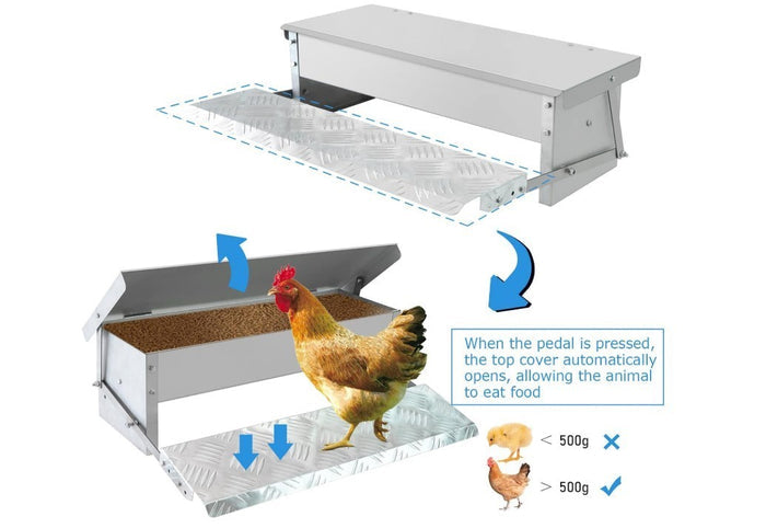 Rat Proof Treadle Chicken Feeder Without Waste Design Automatic Chicken-307