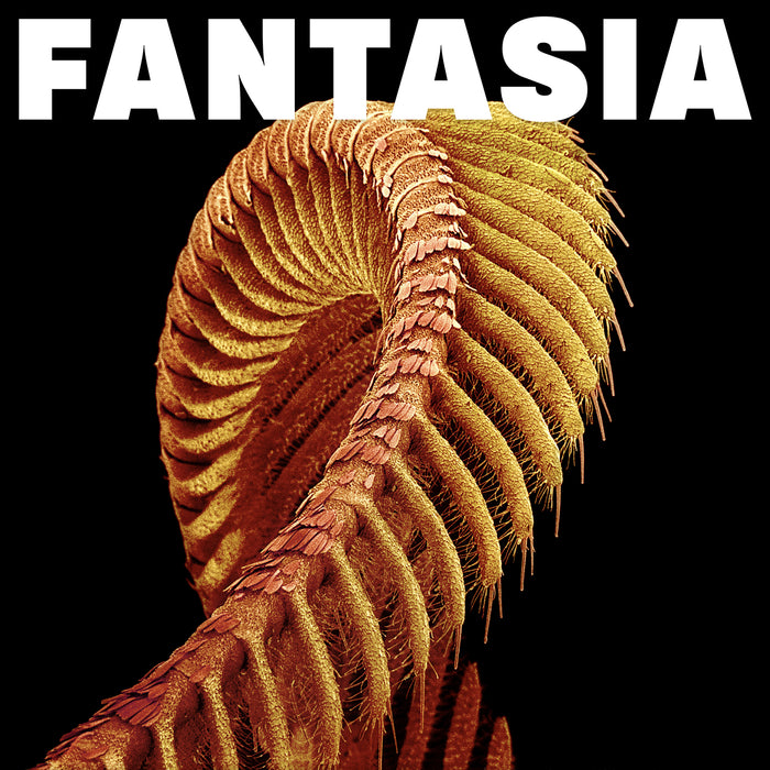 Slift Fantasia vinyl