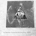 The Telescopes - Growing Eyes Becoming String Remixes (Record Store Day) - Fuzz Club