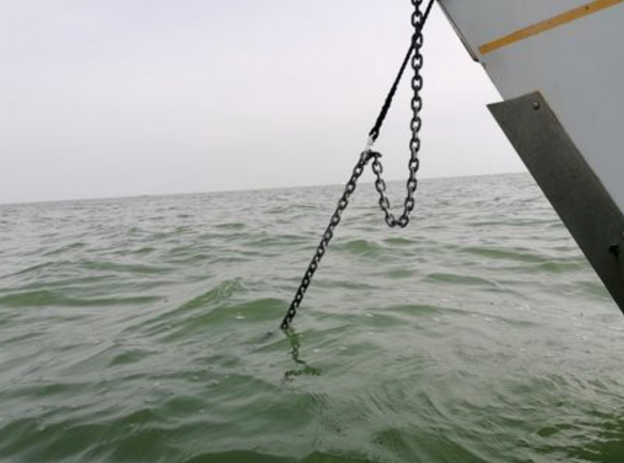 Wichard chain grip kit 2995 - Rope 12 mm - Length 5m - Bosuns Boat